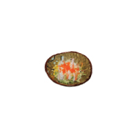 Kani Sarada Kani Sarada